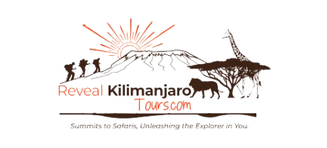 Reveal Kilimanjaro Tours and Travels | Best Safaris in Kenya, Tanzania, Uganda & Rwanda